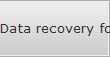Data recovery for New Jersey data